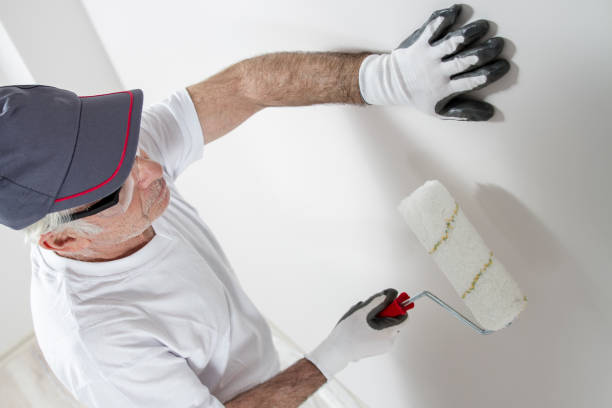 Best Black Mold Removal  in Rocky Ford, CO